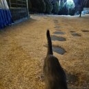 GS25청도사랑점 | 1월 청도, 위치 좋은 이슬미 스테이 퓨베센스방 후기