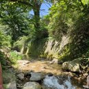 왕방폭포수농원 이미지