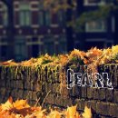 화곡사거리 이미지