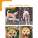 정우켄넬 이미지