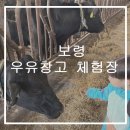 먹이창고 | 충남 보령 아기랑 가볼만한곳 우유창고 체험장