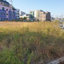 항호공원 이미지