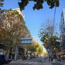 비산1동행정복지센터 본관옆 | 260104 김토끼 일기_간이식 공여자 1차 검사 &amp; 2차 검사 후기