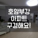호암부강 이미지