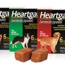 구일동물약국 이미지