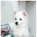 닥터팬더 동물병원 이미지