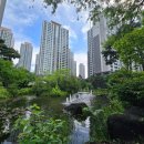 뉴코아아울렛 강남점 주차장 앞 횡단보도 | 래미안 퍼스티지 임장-강남구 대표 구축 단지, 지금 사도 될까?