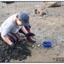 탑포어촌체험휴양마을 네이버블로그
