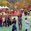 국화전시회 버스킹 문화공연 이미지