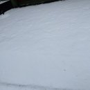 제일곱창 이미지