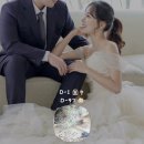 임신 20주차 ~ 25주차 기록 _ wedding D-1 💍