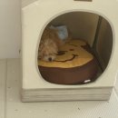 어썸멍스쿨 이미지