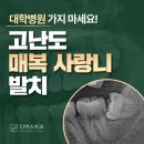 디어스치과의원 이미지