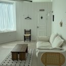 (야간)반려동물 의류 소품제작 | 부천 상동 렌탈스튜디오 메린 의류촬영 후기