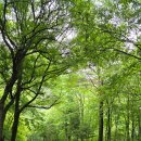 방태산솔마루캠핑장 이미지