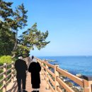 22사단 가는길 | [속초여행]롯데리조트 외옹치 바다향기로길(남자친구촬영지) 추억따라 다시 걷다