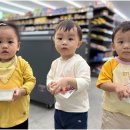 꼬모어린이집 이미지