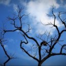 바람 구름 파도 그 이미지