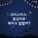 차이랑중국어효천캠퍼스학원