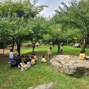 안나농원 이미지