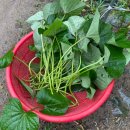 안만순농장 이미지