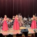 찾아가는 도민예술단 이미지