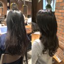 명동 미용실 &lt;준오헤어 명동2호점&gt; 커트&amp;헤어스파 후기