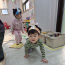 나는 오리! 캥거루! 생쥐! 이미지