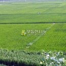 수산리농장 이미지