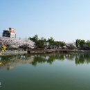 복사꽃향기 이미지