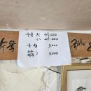 여수나진의집