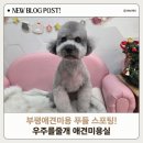 주정차109 이미지