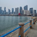 미디어 청양여행사 | [대학생 방학] 나홀로 🇨🇳 칭따오 패키지 여행