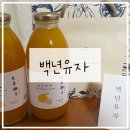 남해 반려견 동반 여행 유자 기념품 추천 남해 카페 추천 백년유자