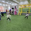 호돌이태권도체육관 이미지