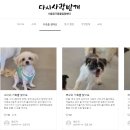 다시사랑받개 이미지