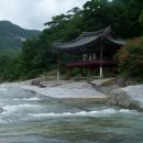더 풍류