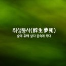 취생몽사