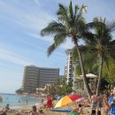 와이키키 이미지