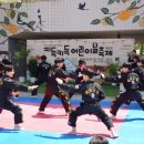 진영 실전합기도 이미지