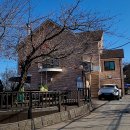 배꽃향기종수원 이미지