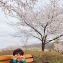 박승광해물손칼국수 아산신정호점 네이버블로그
