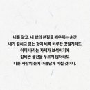 파노플리 네이버블로그