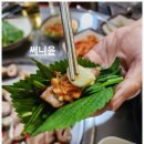 이지비야 이미지