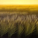 바람결 Daum카페