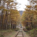 아리바우길(정선코스) 이미지