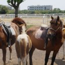 서광오토 이미지