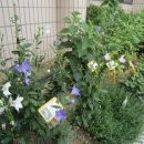 완산동 주민센터 이미지