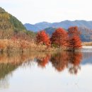 주천면체육공원 네이버블로그