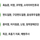 로하스에버 이미지